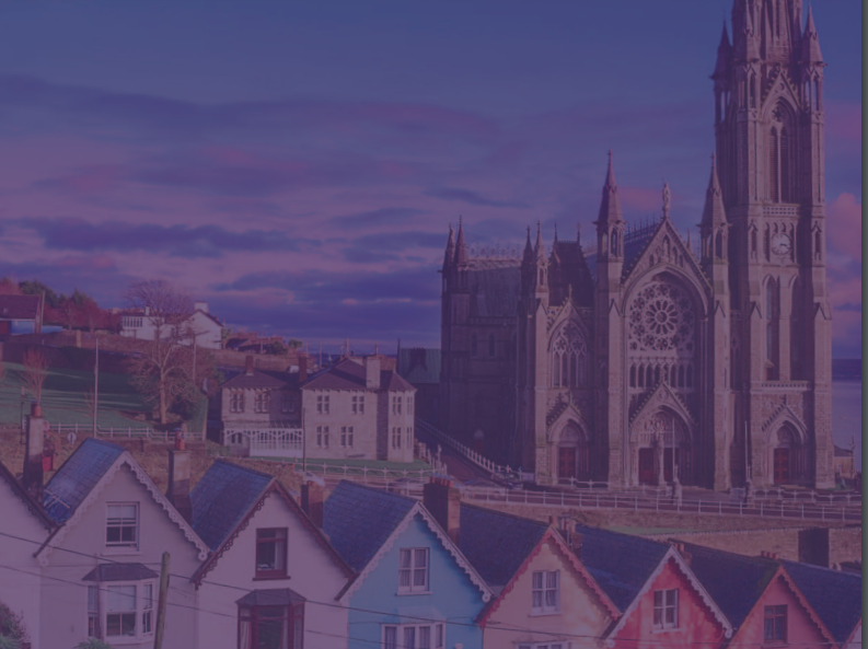 Annual Residential Property Report 2020