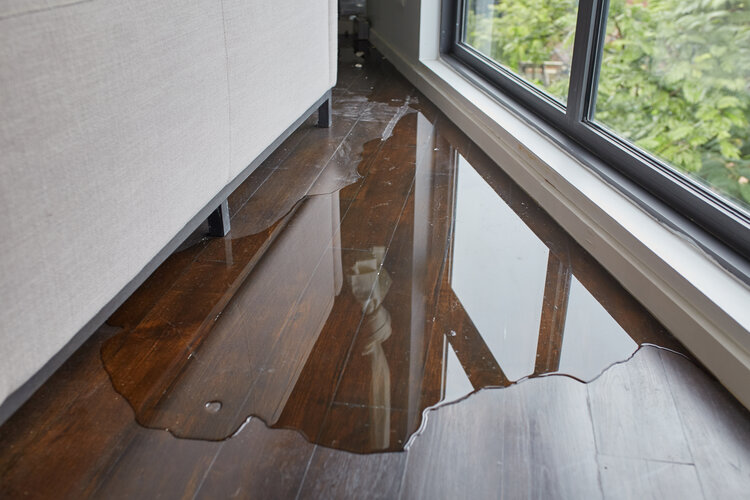 My apartment is besieged by odours and leaks and I have hit a brick wall without getting them fixed. What can I do?