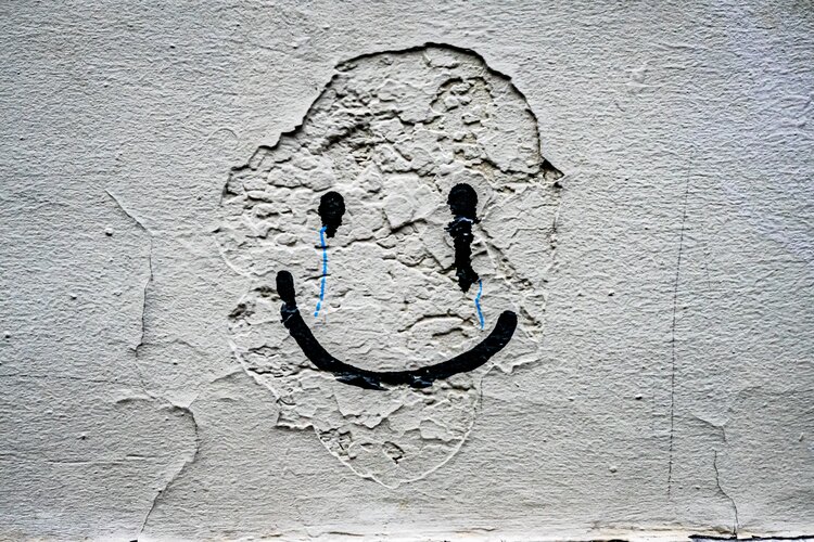 I am having huge issues with my neighbours in relation to my boundary wall
