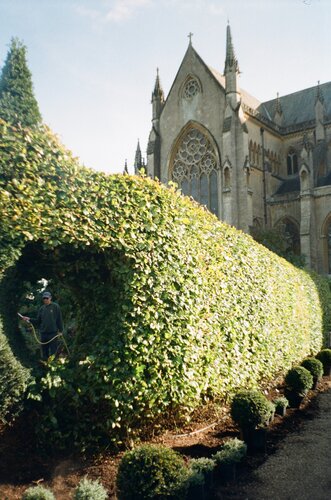 Our neighbour has 25ft hedges on his property which block our light