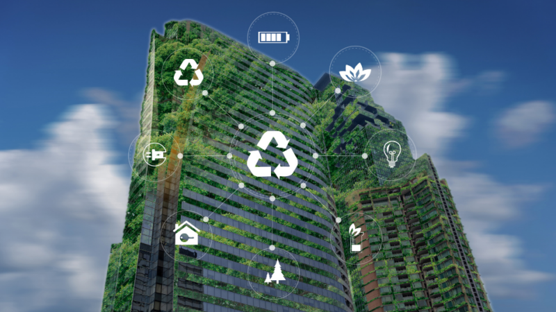 12 Steps to Start your journey to Sustainable Business Practice
