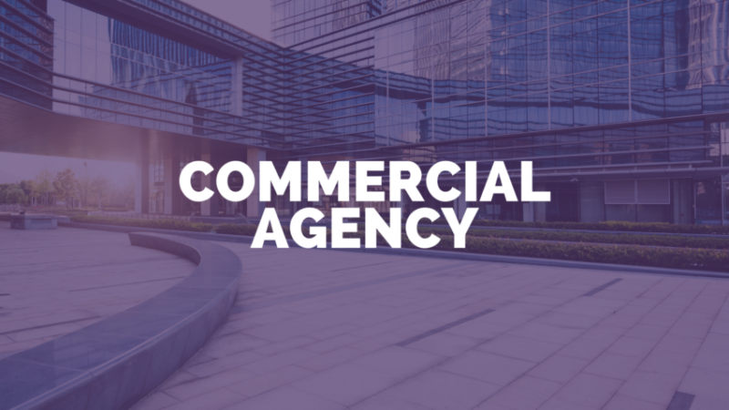 Commercial Agency: Growth & diversity within our profession